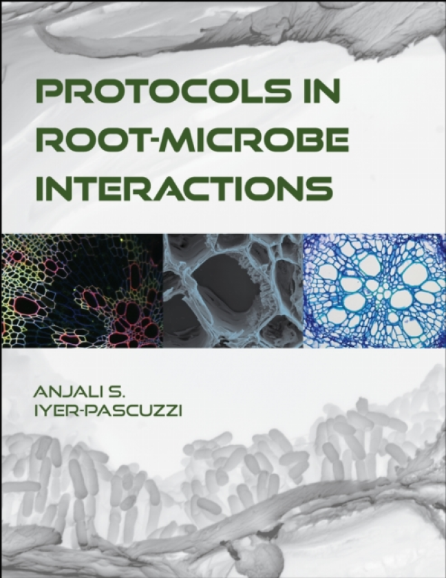 Protocols in RootMicrobe Interactions