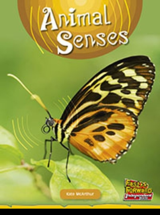 Animal Senses