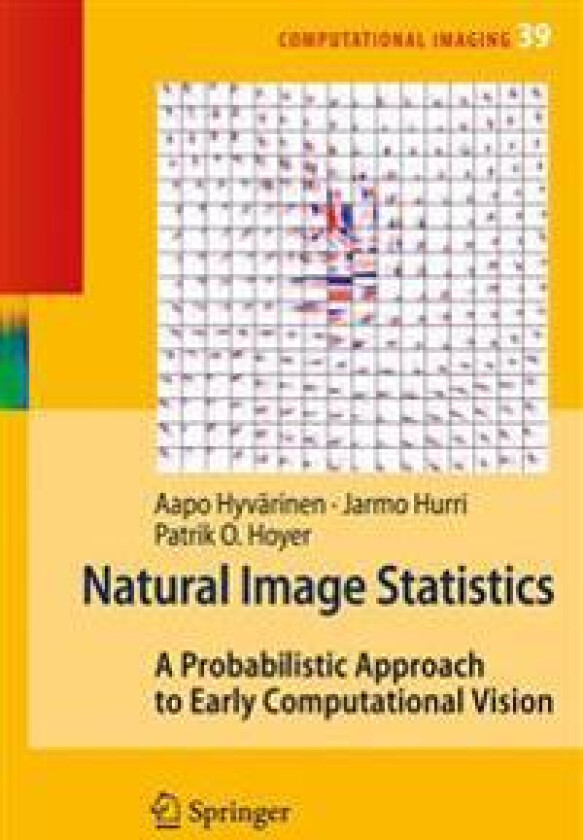 Natural Image Statistics
