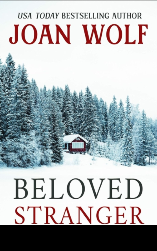 Beloved Stranger