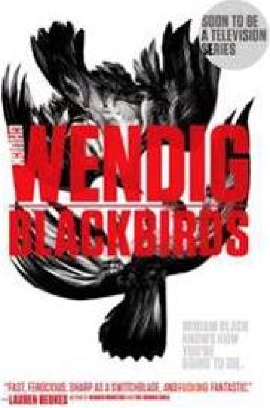 Blackbirds - Wendig, Chuck