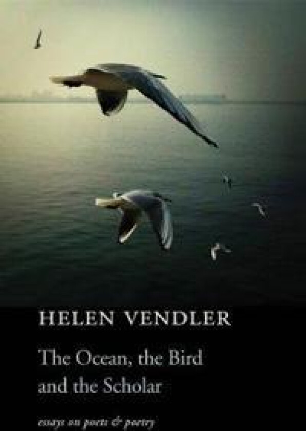 The Ocean, the Bird, and the Scholar