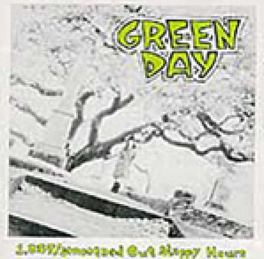 Green Day 1,039 / Smoothed Out Slappy Hours LP/Vinyl