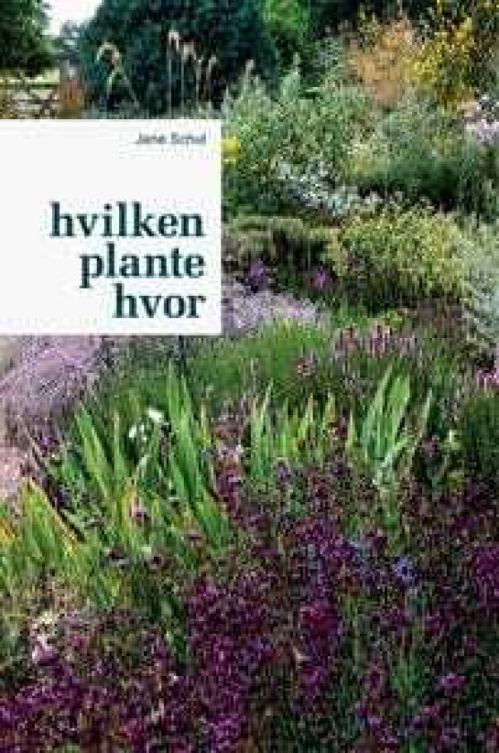 Hvilken plante hvor Jane Schul Språk: Dansk
