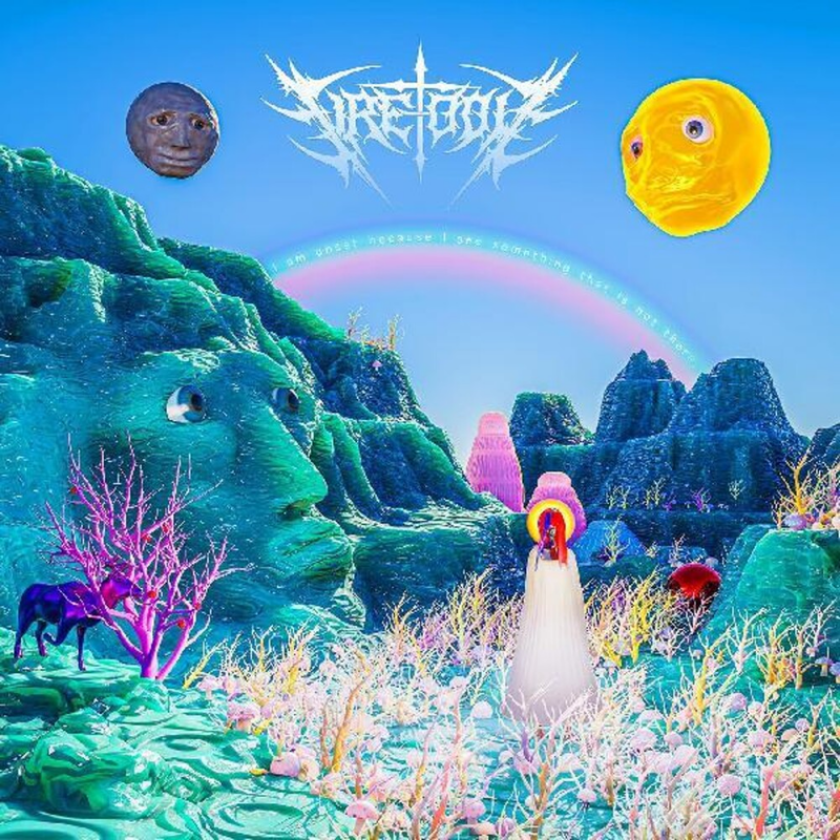 FireToolz I Am Upset Because I See Something That Is Not LP/Vinyl