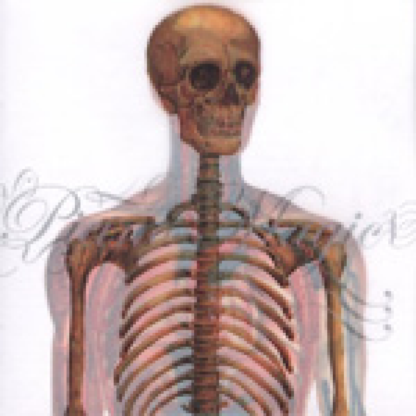 Piano Magic Open Cast Heart EP CD