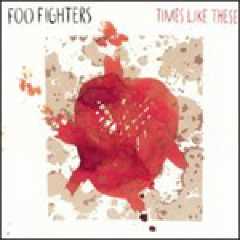 Foo Fighters Times Like These EP CD