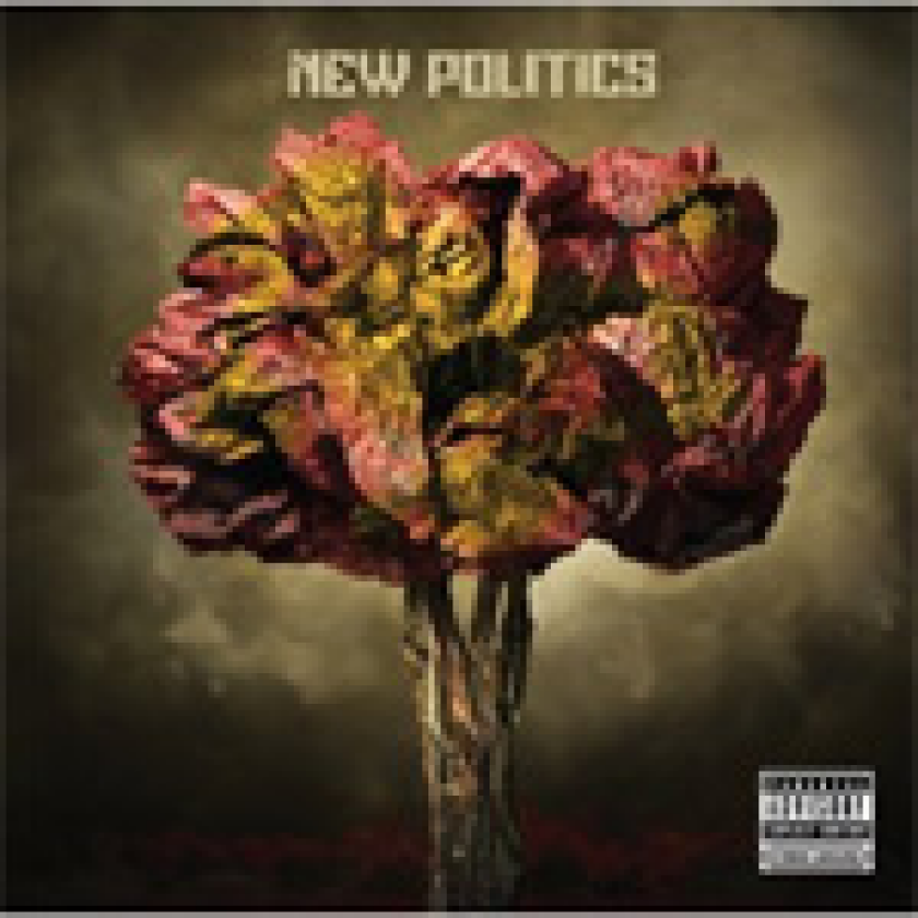 New Politics New Politics CD