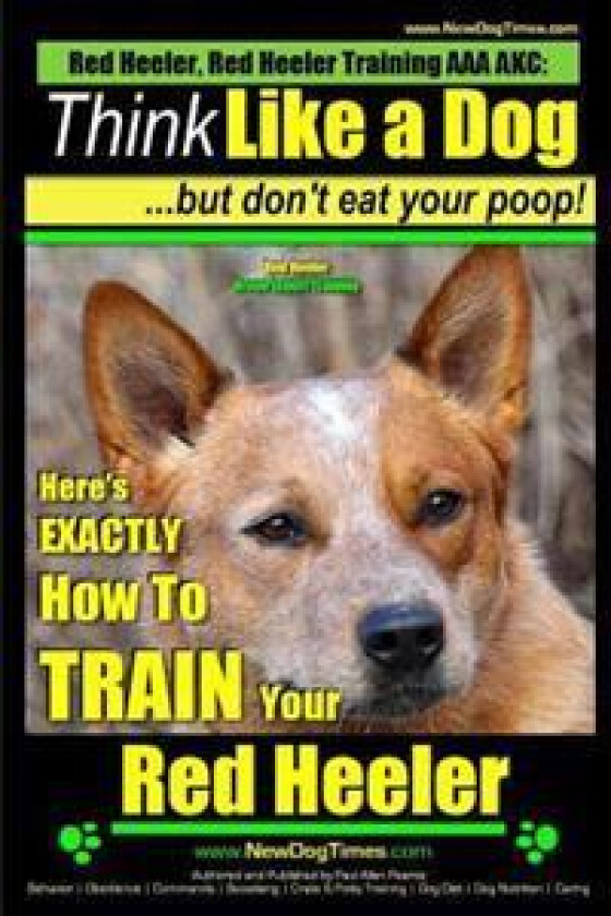 Red Heeler, Red Heeler Training AAA AKC: Think Like a Dog, but Don't Eat Your Poop! Red Heeler Breed Expert Training: Here's EXACTLY How to Train Your