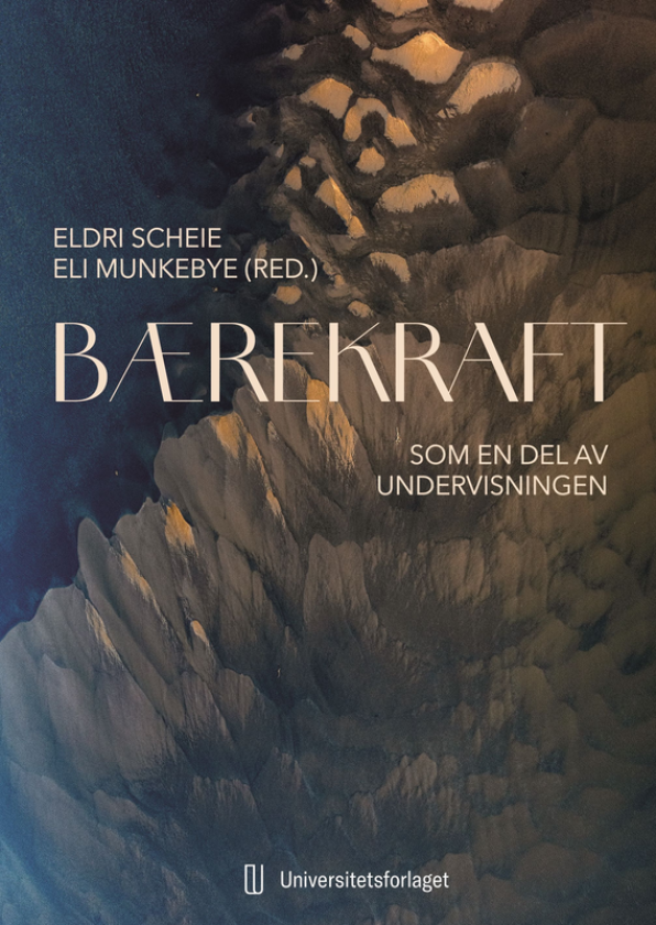Bærekraft som en del av undervisningen