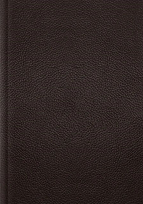 ESV Single Column Journaling Bible, Large Print