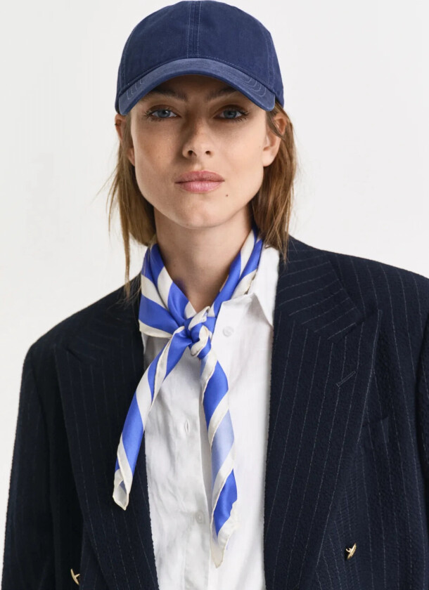 Stripe Print Silk Scarf - Blue - ONE SIZE