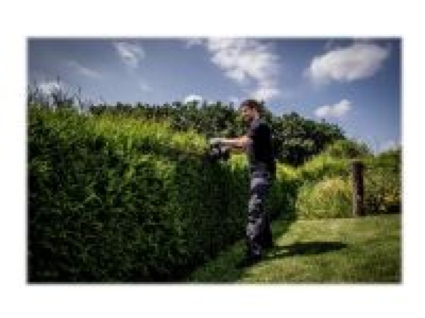 Bilde av HS 18 LTX 45 akku hedge cutter 18V