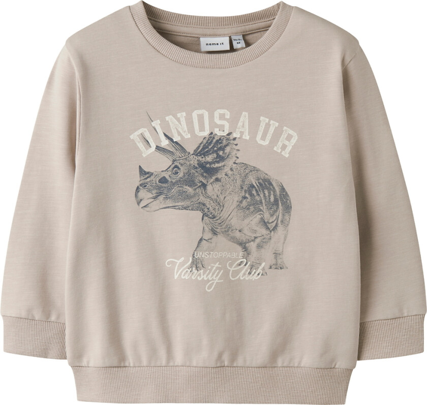 Collegegenser - NmmFento - Chateau Gray - - 4 år (104) - Collegegenser