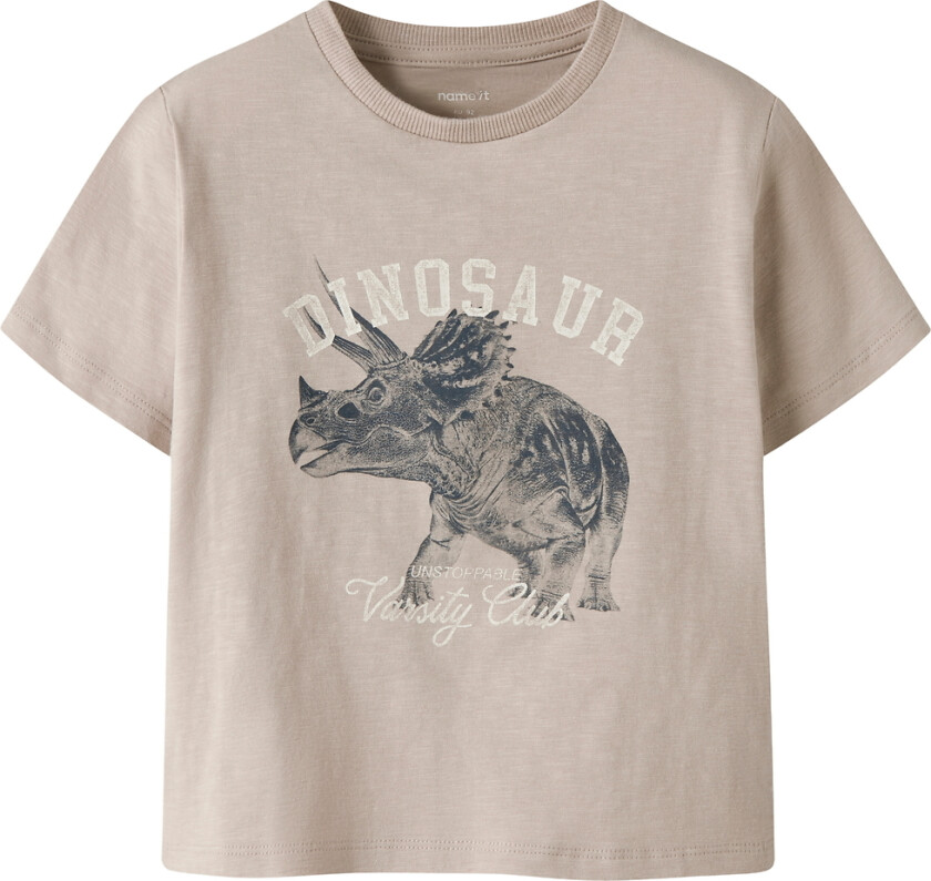 T-skjorte - NmmFeather - Chateau Gray - - 4 år (104) - T-skjorte