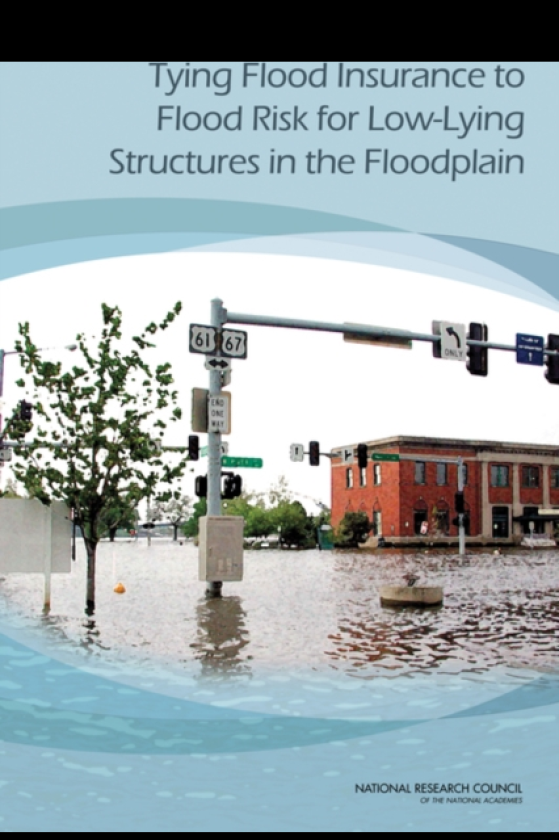 Tying Flood Insurance to Flood Risk for LowLying Structures in the Floodplain