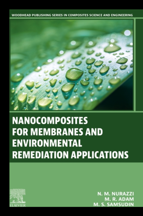 Nanocomposites for Membranes and Environmental Remediation Applications
