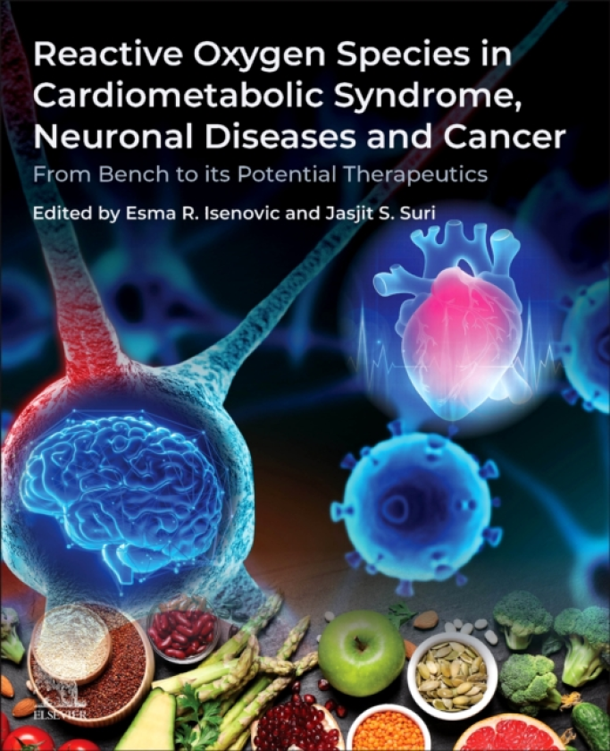Reactive Oxygen Species in Cardiometabolic Syndrome, Neuronal Diseases and Cancer From Bench to its Potential Therapeutics