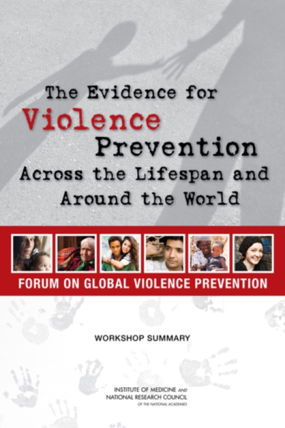 The Evidence for Violence Prevention Across the Lifespan and Around the World Workshop Summary