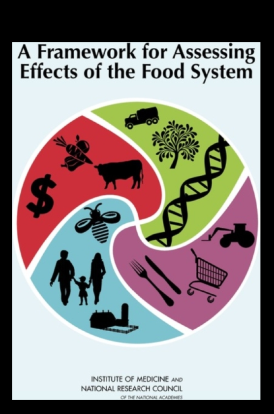 A Framework for Assessing Effects of the Food System