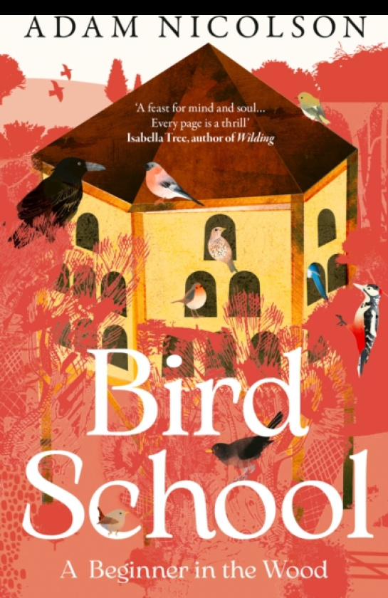 Bird School A Beginner in the Wood