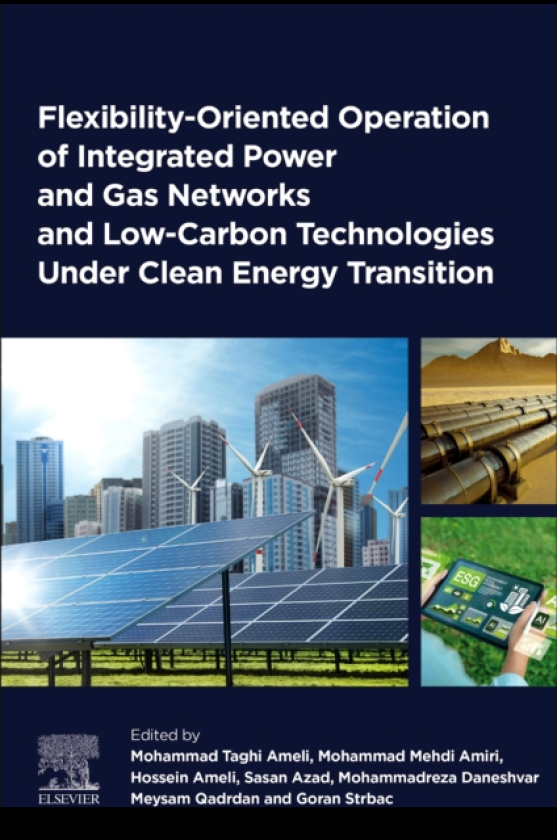 FlexibilityOriented Operation of Integrated Power and Gas Networks and LowCarbon Technologies Under Clean Energy Transition