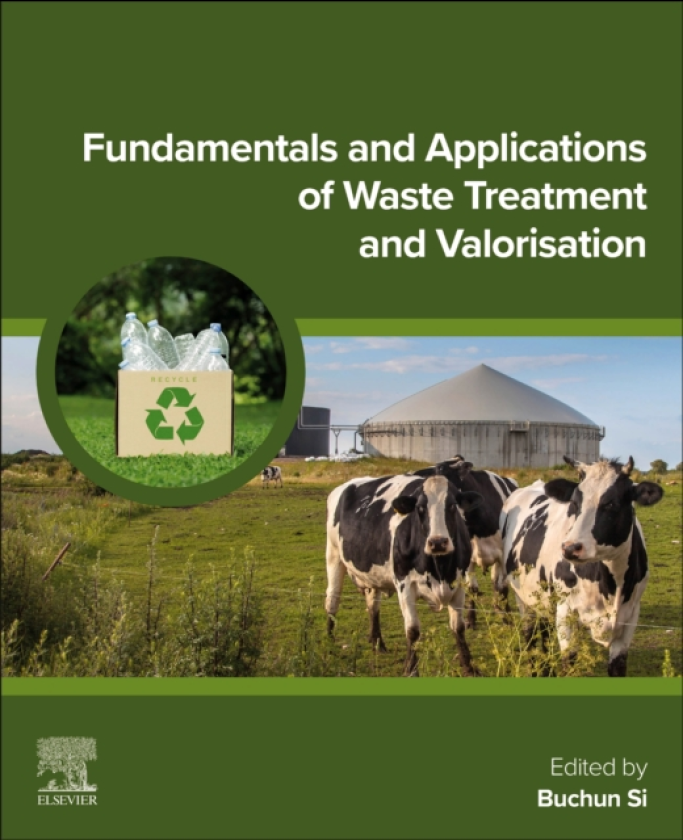 Fundamentals and Applications of Waste Treatment and Valorization
