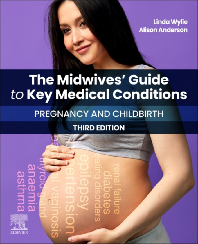 The Midwives' Guide to Key Medical Conditions: Pregnancy and Childbirth Pregnancy and Childbirth