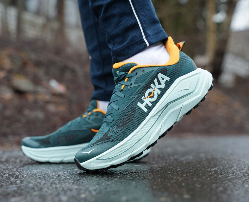 Challenger 8 Herre Bay Leaf/Sage 49 1/3