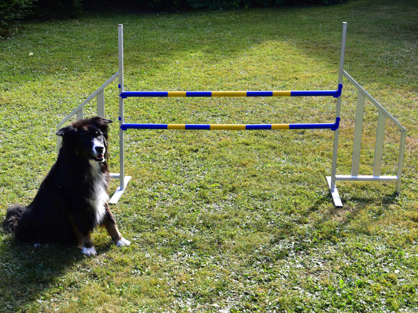 Bilde av Agility Profi Hopp i Metall PRO-serie