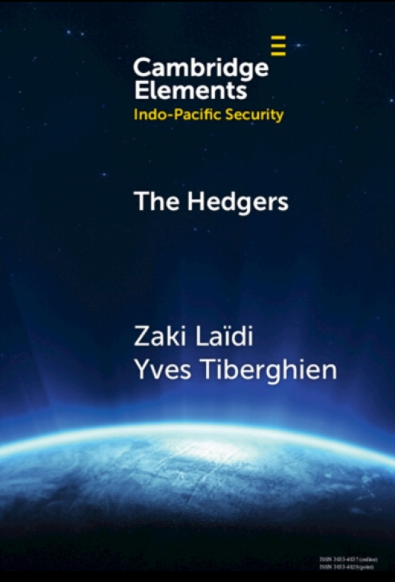The Hedgers How The Global South Navigates the SinoAmerican Competition
