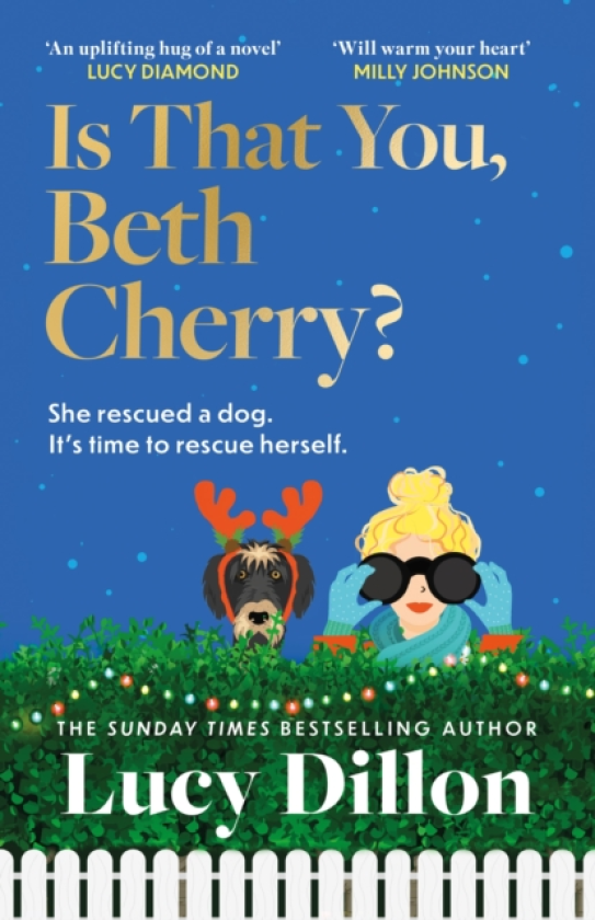 Is That You, Beth Cherry? the warm and witty new novel from the author of Irresponsible Adult