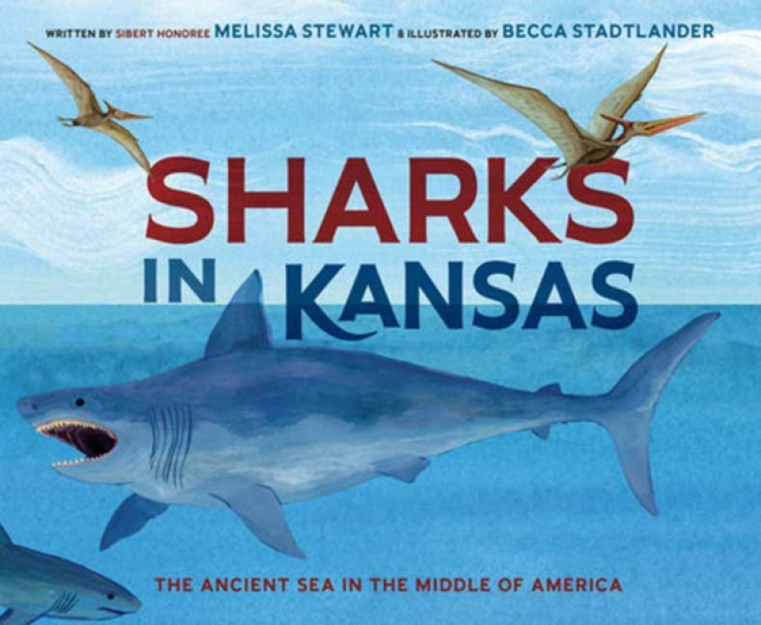 Sharks in Kansas The Ancient Sea in the Middle of America