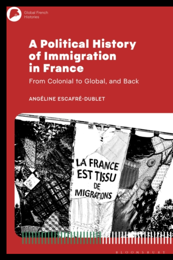 A Political History of Immigration in France From Colonial to Global, and Back