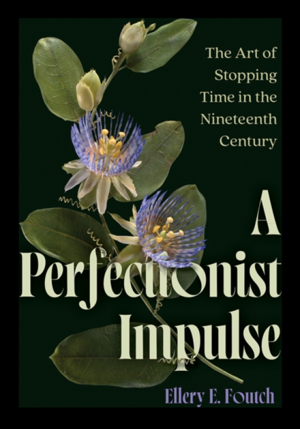 A Perfectionist Impulse The Art of Stopping Time in the Nineteenth Century