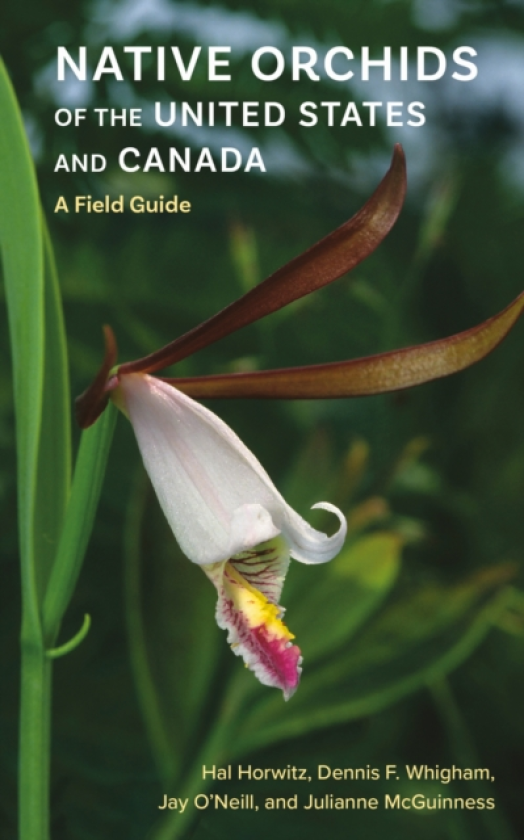Native Orchids of the United States and Canada A Field Guide