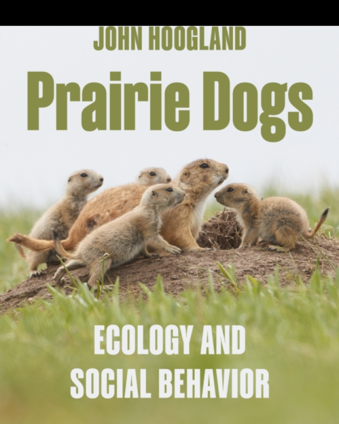 Prairie Dogs Ecology and Social Behavior