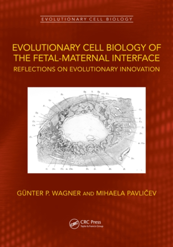 Evolutionary Cell Biology of the FetalMaternal Interface Reflections on Evolutionary Innovation