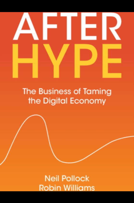 After Hype The Business of Taming the Digital Economy