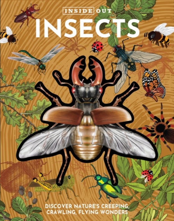 Inside Out Insects Discover Nature's Creeping, Crawling, Flying Wonders