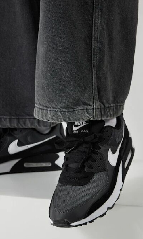 Air Max 90 sko Multi Male EU 42