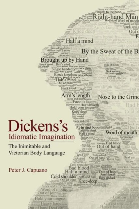 Dickens's Idiomatic Imagination av Peter J. Capuano