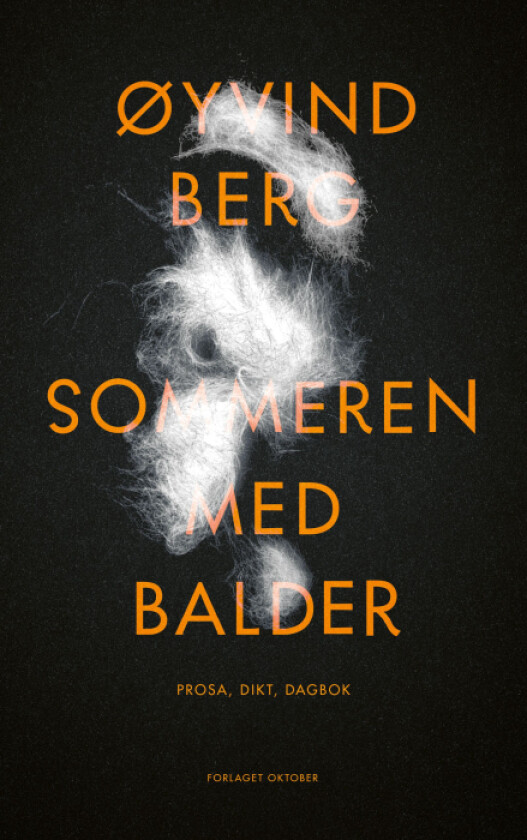 Sommeren med Balder av Øyvind Berg