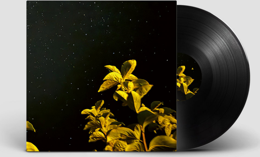 Thomas Peter Changing Bodies LP/Vinyl