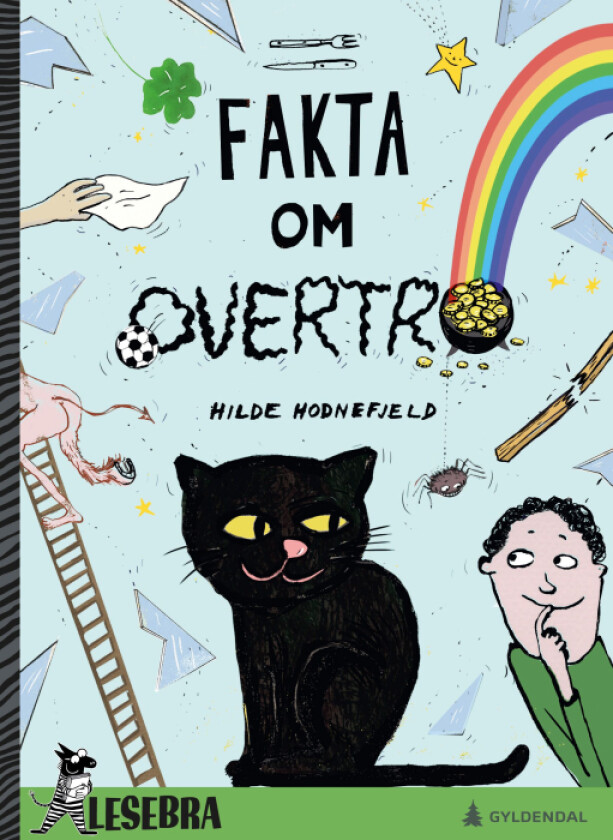 Fakta om overtro av Hilde Hodnefjeld