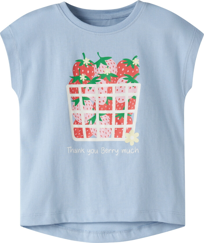 T-skjorte - NmfVigea - Chambeay Blue/Strawberry - - 3 år (98) - T-skjorte