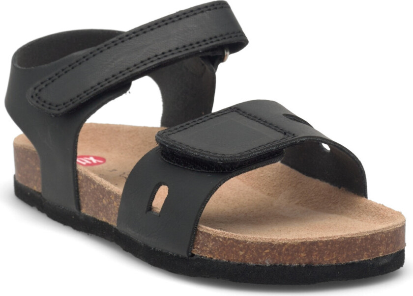 Pikza Pax - Black - 27