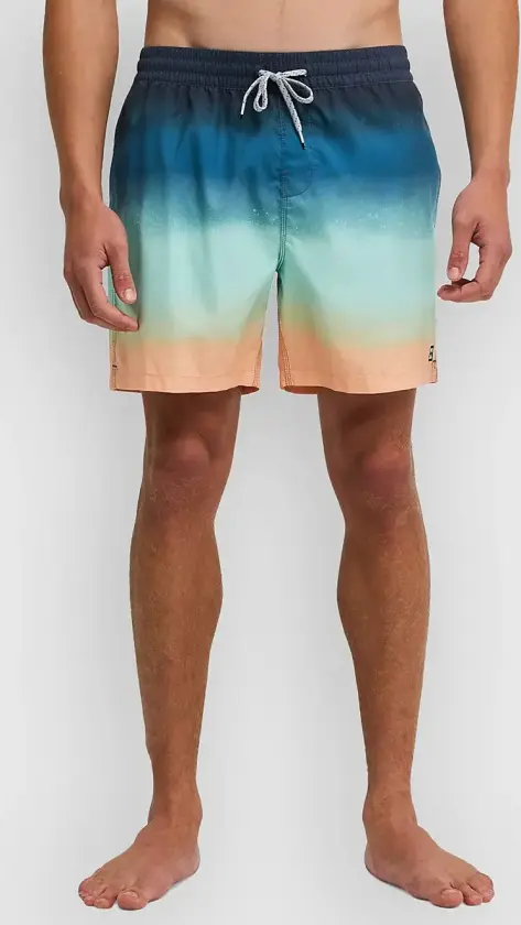 All Day Fade Boardshorts blå
