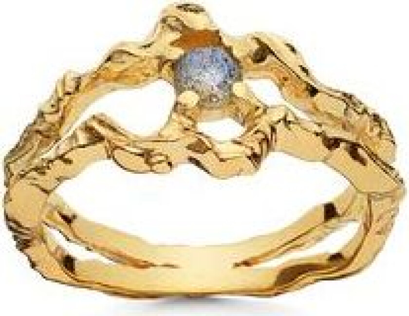 Bilde av Shelly Ring - Gold 51