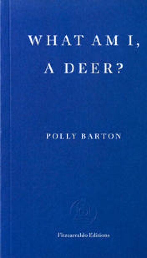 What Am I, A Deer?